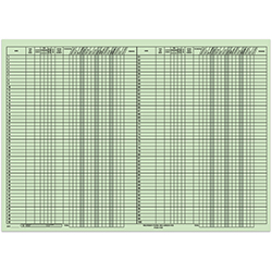 Route Sheet - BIG GREEN, 28" x  20", 50 Per Pad