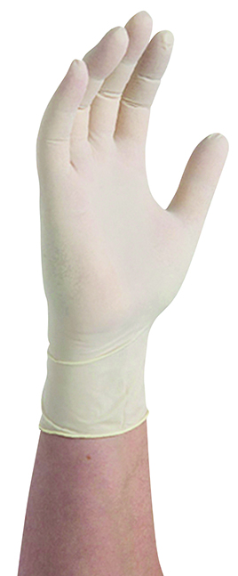 Latex Gloves - Medium - Powder Free, Box of 100