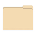 3 Tab File Folder