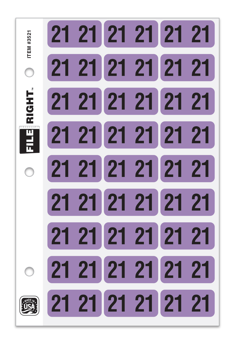 Pack of 270 Year 2021 in Ring book Style