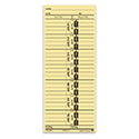 Time Clock Cards - TC-1 - Qty. 250