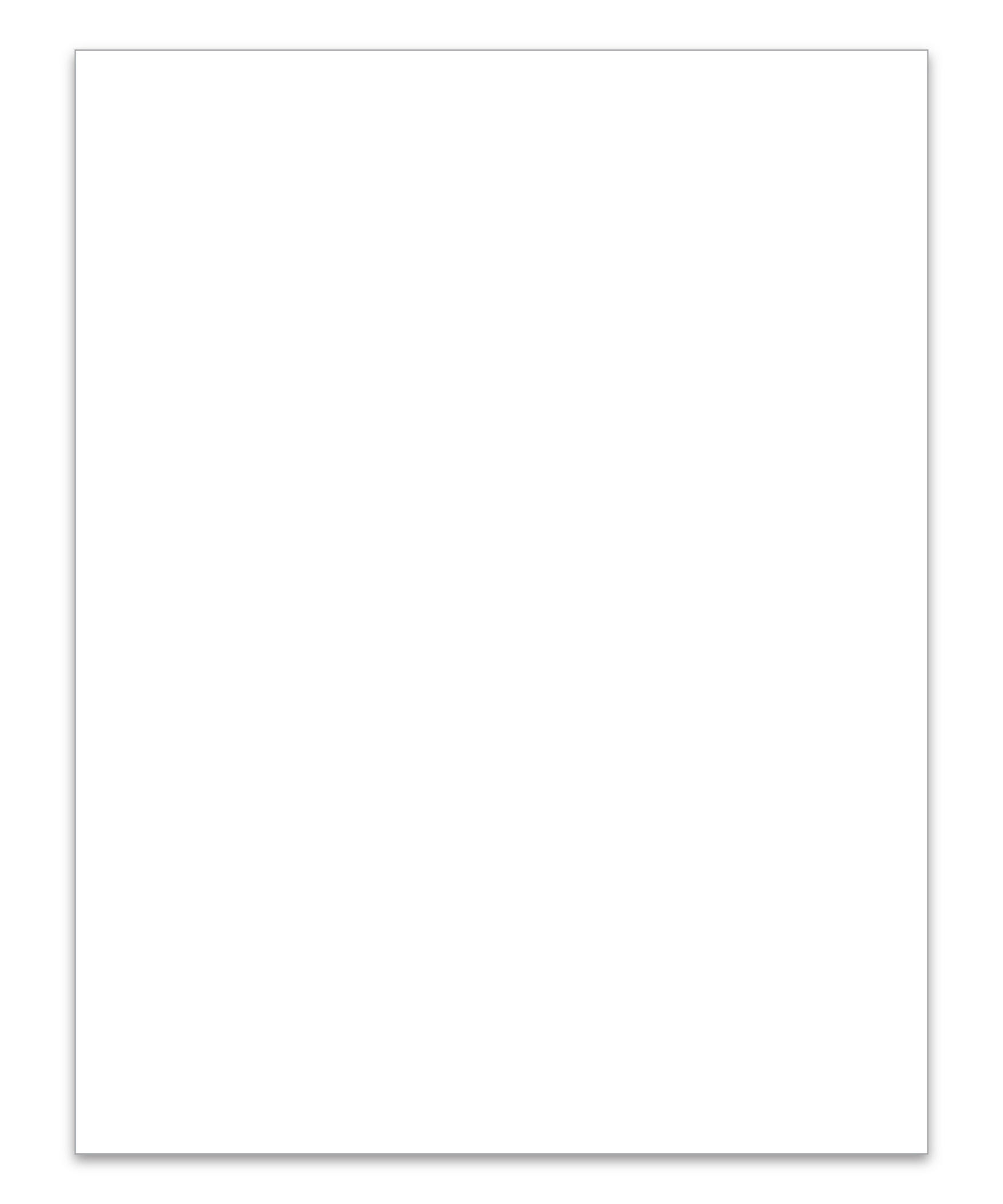 Ext 15-5/8" x 11" Lsr Wndw Stckr, 5 UP, BLANK, Perm Adh, 1 Part - Qty 100