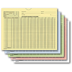 Accounts Payable Voucher Env - General Acct Style